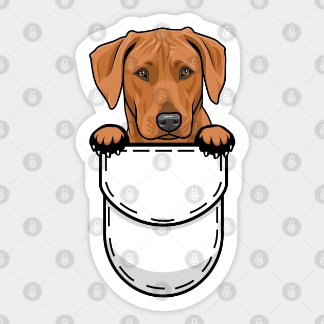 Rhodesian Ridgeback Pocket Dog Sticker by Pet My Dog